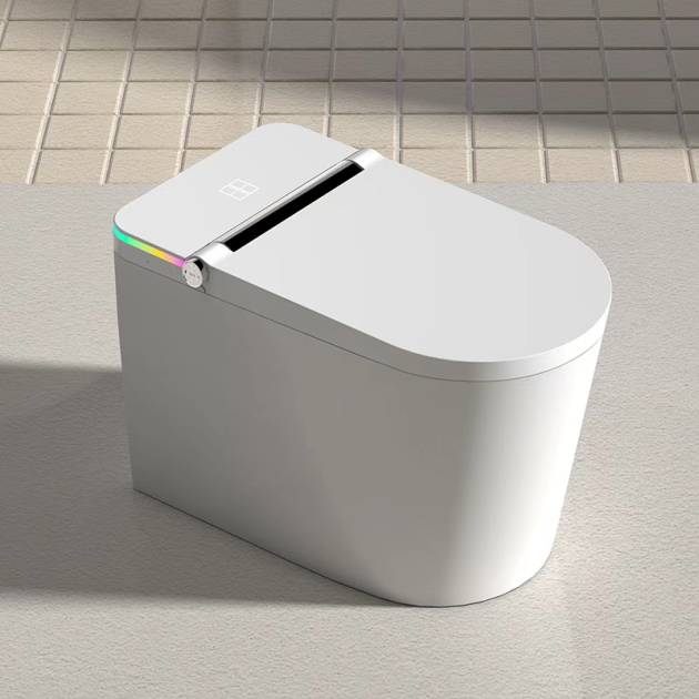 Smart Toilet